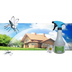 Pyrethre, barrière insecticide naturelle protège ma maison
